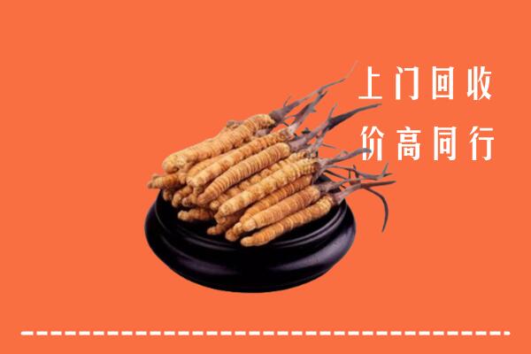 高价求购：巴林左回收散虫草