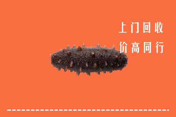 高价求购：巴林左回收海参