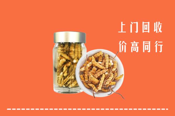 收购行情：巴林左回收冬虫夏草