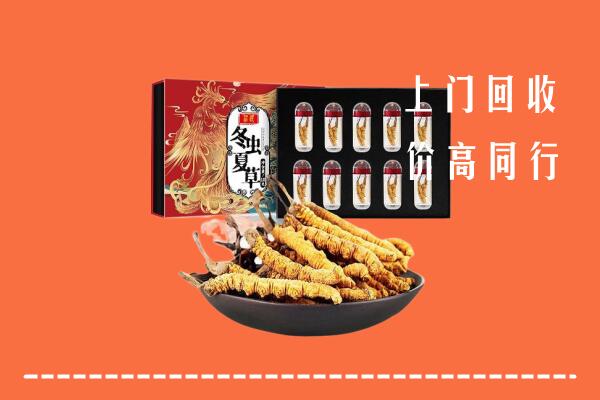 收购行情：巴林左回收虫草